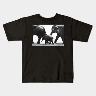 Baby Elephant and Parents Kids T-Shirt